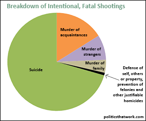 Breakdown of Intentional, Fatal Shootings